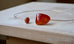 Carnelian Fire Agate Choker