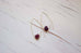 Raw Garnet Endless Hoop
