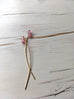 Pink Tourmaline Arc Earring