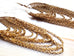 Gold Filled Chain Draped Earring