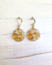 Citrine Frame Earrings